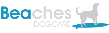 Beaches Dog Care